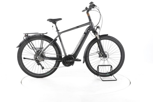 Pegasus strong evo vélo - pegasus, 10