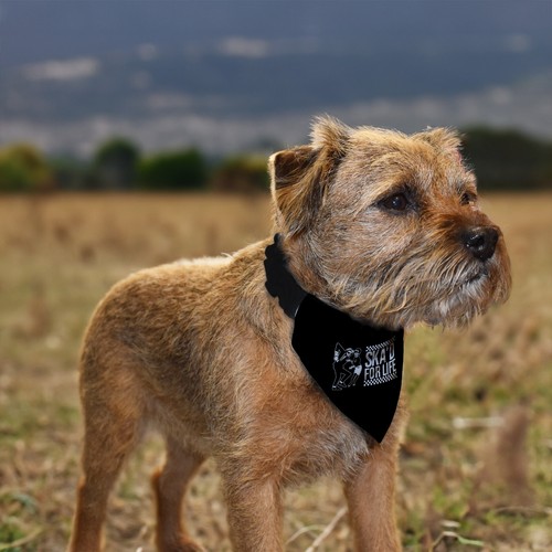 Bandana pour chien design - bandana,