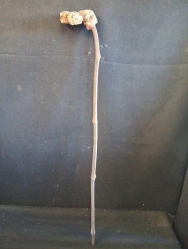 Canne ancienne cep vigne - canne,
