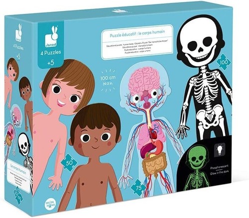 Puzzle educatif corps - educatif,