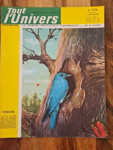 Tout univers 173 - l'univers, n°173