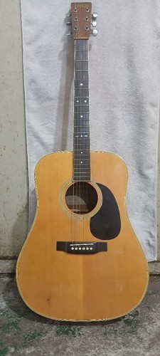 Guitare acoustique tokai cat - acoustique, cat's
