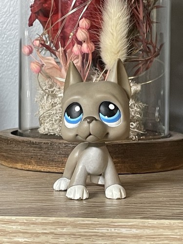 Petshop chien danois dogue - 💖petshop,