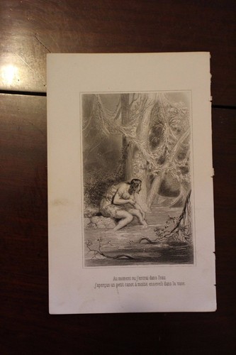 1882 gravure trappeur chez - ✒,