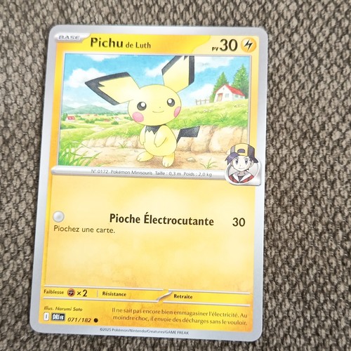 Pokémon jcc nintendo pichu - pokémon,