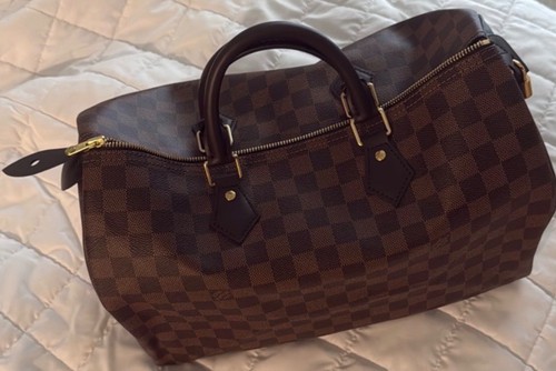 Louis vuitton speedy brown - louis,