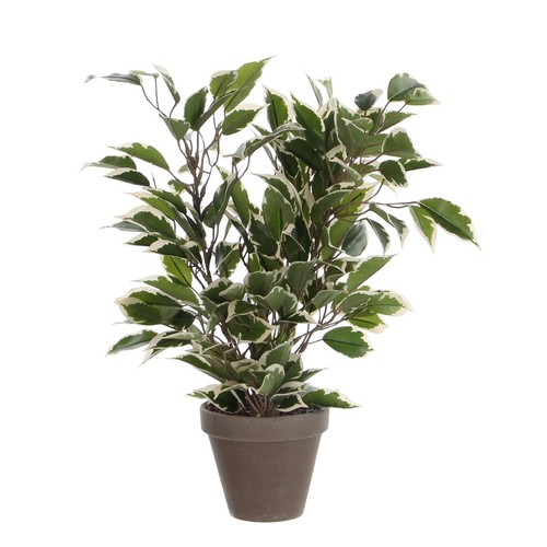 Mica decorations plante - mica,