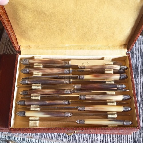 Lot couteaux table acier - 12,