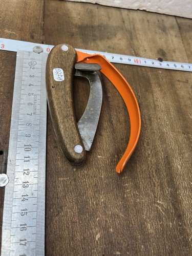 Rainette marquage forestier - rainette,