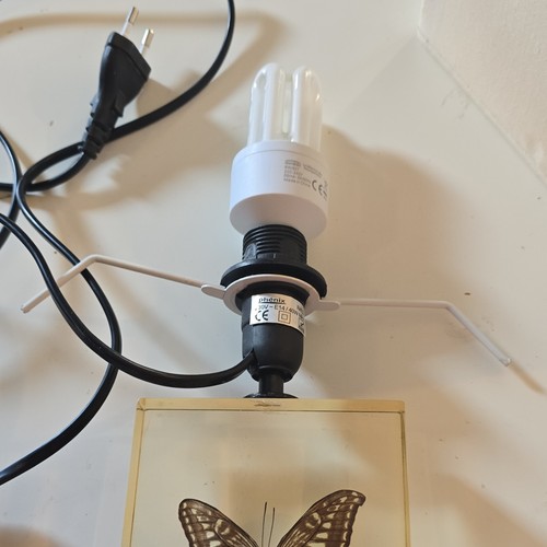 Phénix créations lampe - phénix,