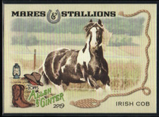 Irish Cob Horse 2019 Topps