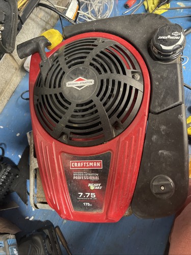 Briggs stratton professional - &,