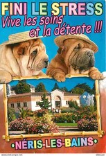 Animaux - Chiens - Sharpei - Néris les Bains - L'Etablissement Thermal - CPM - V