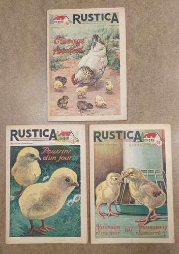 Anciennes revues journaux - anciennes, revues,