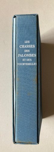 Chasse des palombes - chasse,