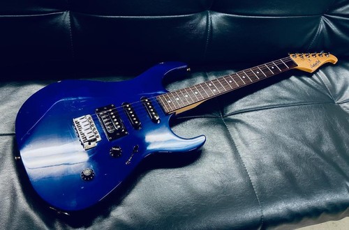 Electric guitar chatting - guitar, bird
