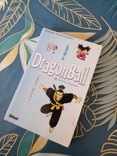 Livre manga dragon - livre,