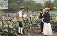 CP SURREALIST COUPLE AND GARDENER IN FIELD CABBAGES BABIES - 65911