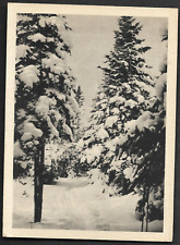 pk01420:Heliogravure Postcard-Piste de Ski Sous Bois au Lac Beauport,Quebec