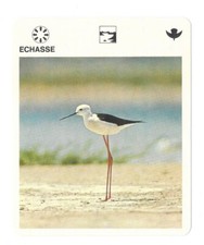 Sheet - Le livre de Paris - 1975 - Chasse