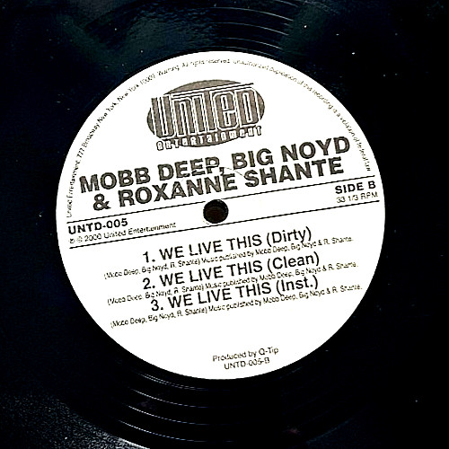 Nas the second coming mobb - -,