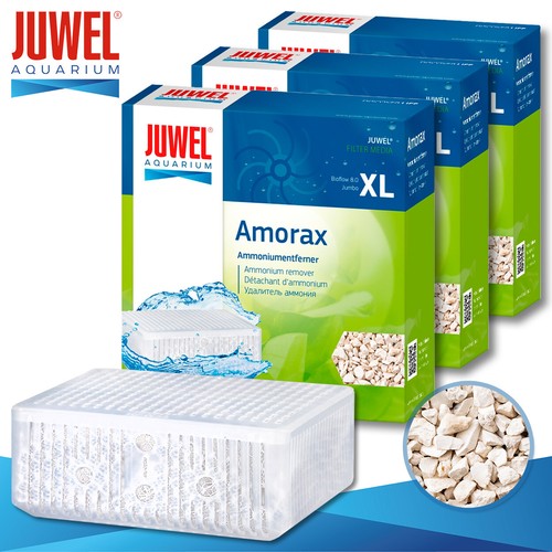 Juwel amorax - x,