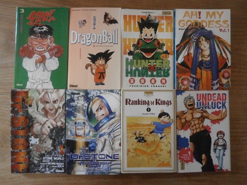 Lot manga shonen dragon - 8, (dragon