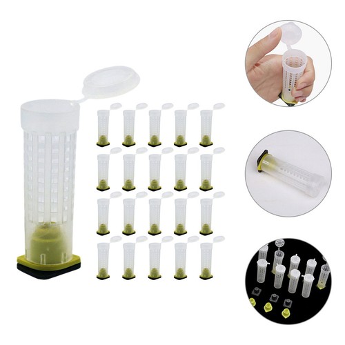 Pcs cages abeilles - 40,