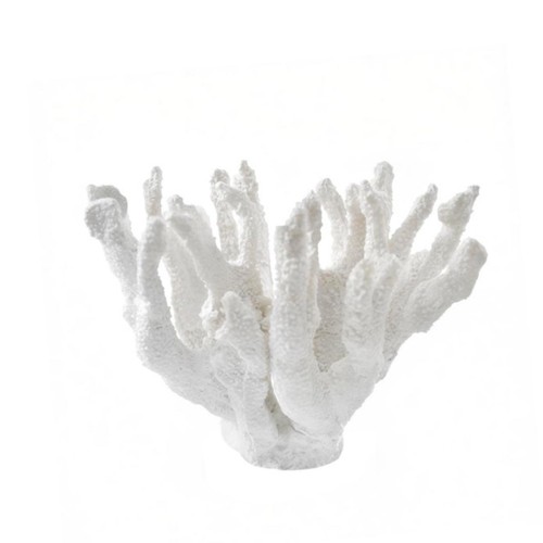 Sculpture corail blanche - blanche, forme