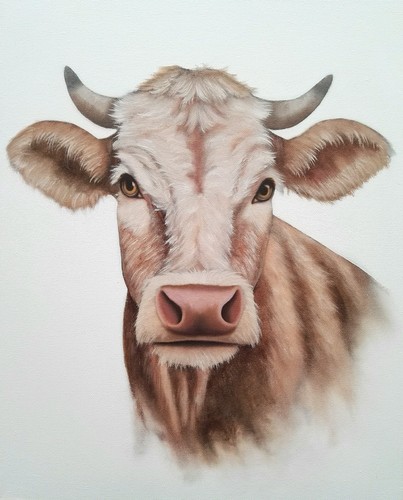 Peinture vache huile sur - vache,,