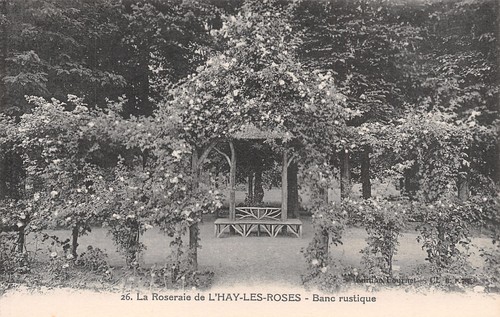 Hay les roses banc - 94,