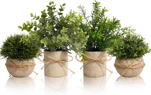 Pièces plantes - 4,