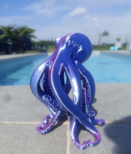 Pieuvre octopus colore - pieuvre, bi