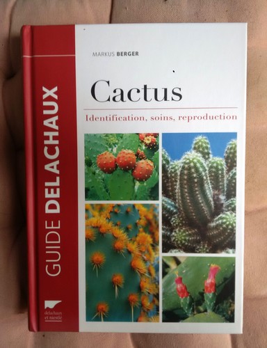 Cactus identification - cactus,