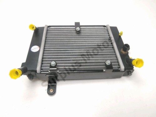Radiateur eau daelim - radiateur,