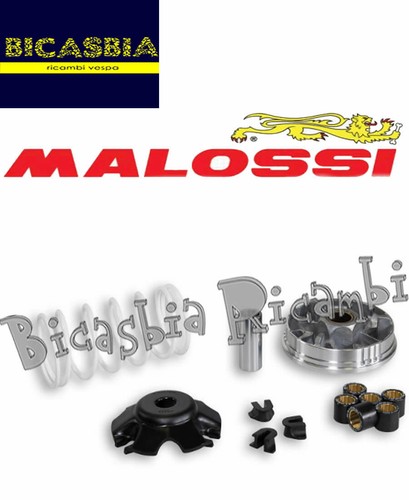 10421 variateur malossi - -,