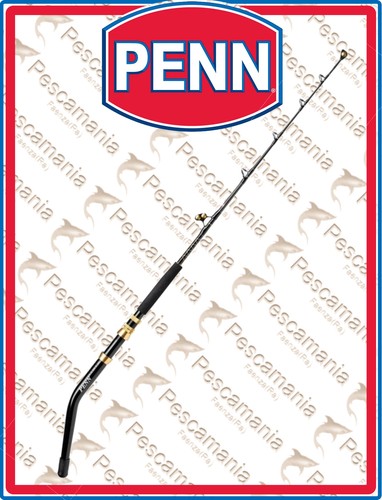 Canne penn squall ii - squall®,