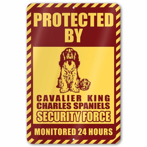 Cavalier king charles spaniel - charles,