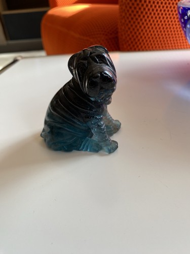 Miniature daum chien sharpei - miniature,