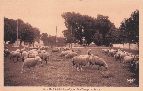 Marans champ de foire - 17*,