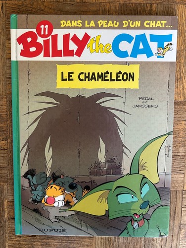 Billy the cat - billy,