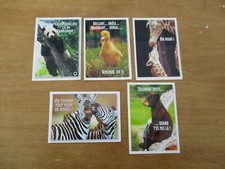 LOT DE CARTES POSTALE