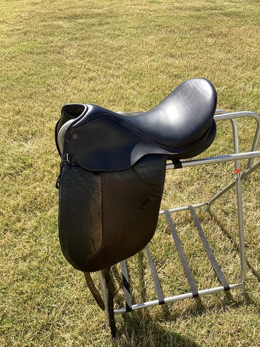 Collegiate dressage close - dressage,