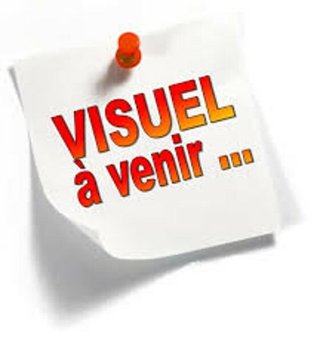 Vengeances rcm récit complet - récit,
