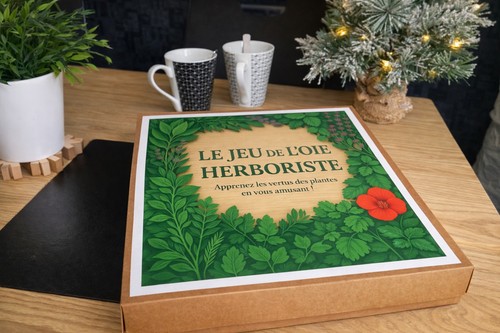 Jeu oie de - de, l’oie