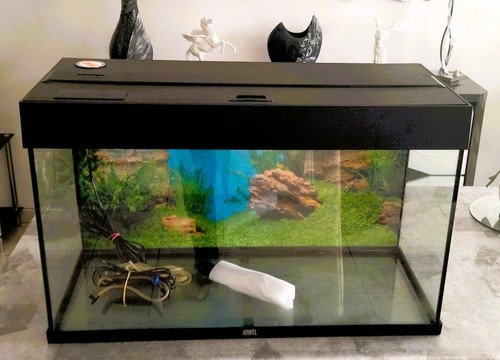 Aquarium juwel 125 litres led - aquarium,