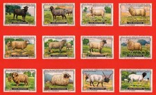 POSTER STAMPS BREEDS OF SHEEP