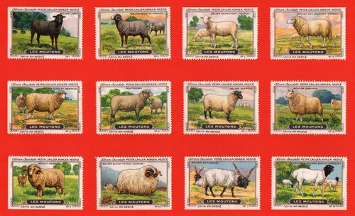 Poster stamps breeds sheep - of,