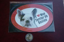 GRAND MAGNET CHIEN  / TERRIER DE BOSTON * 14,8 CM X 10 CM *