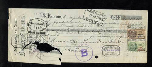 1929 bois fir nord - bois, du